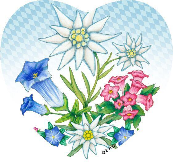 Magnetic Tile German Edelweiss - Collectibles, CT-220, CT-520, Edelweiss, German, Germany, Home & Garden, Kitchen Magnets, Magnet Tiles, Magnet Tiles-German, Magnet Tiles-Heart, Magnets-Refrigerator, PS- Oktoberfest Party Favors, PS-Party Favors, PS-Party Favors German, Top-GRMN-B