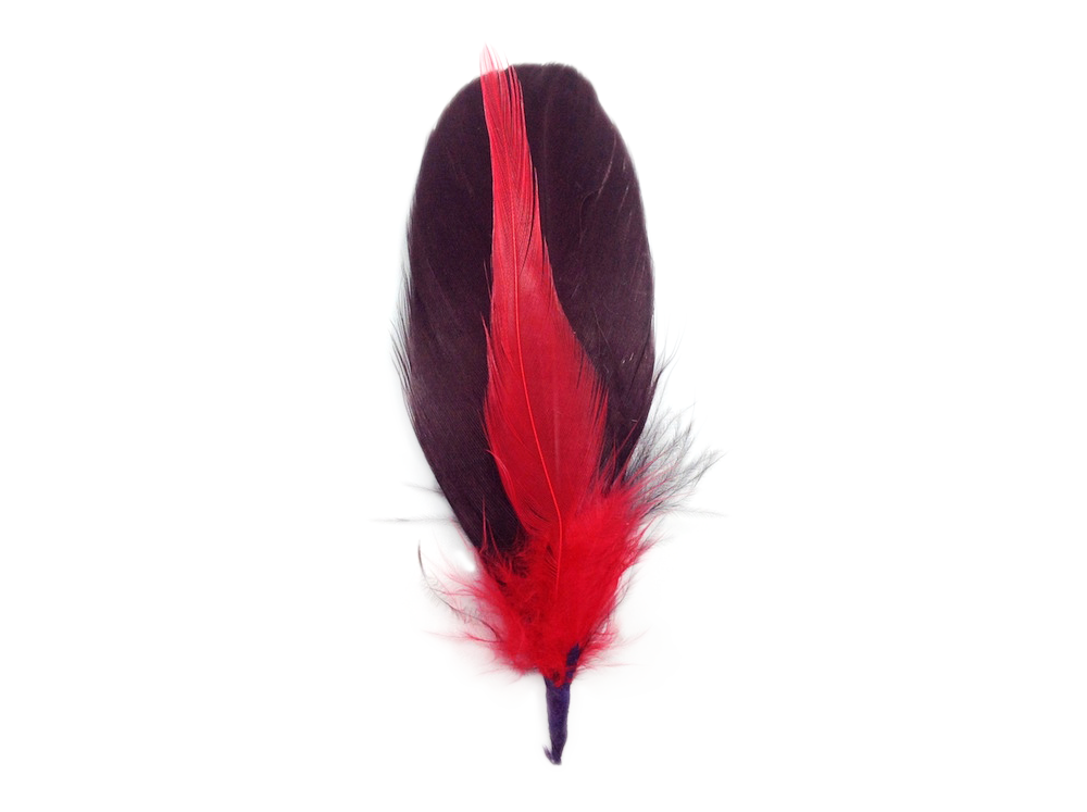 Single Brown & Red Hat Feather - 1