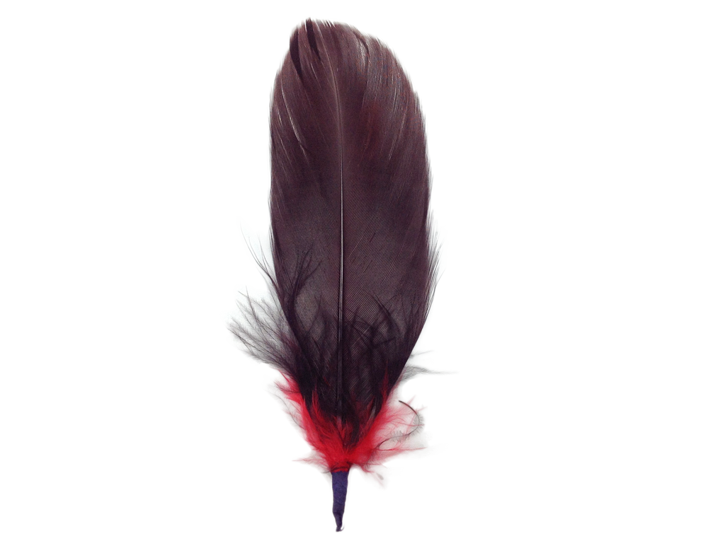 Single Brown & Red Hat Feather - 2