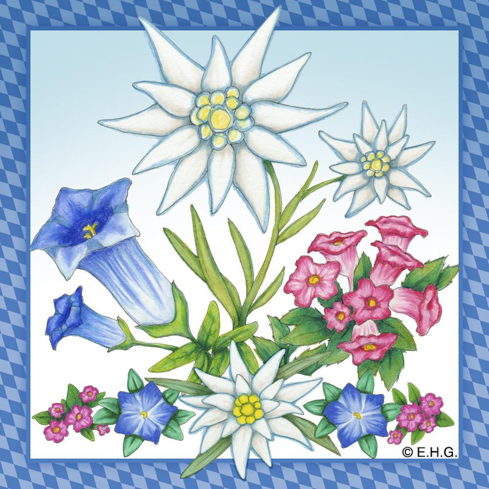 Edelweiss Flower Magnetic Tile - Collectibles, CT-220, CT-520, Edelweiss, German, Germany, Home & Garden, Kitchen Magnets, Magnet Tiles, Magnet Tiles-German, Magnets-Refrigerator, PS-Party Favors, PS-Party Favors German
